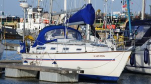 Rainbow moored gosport 2